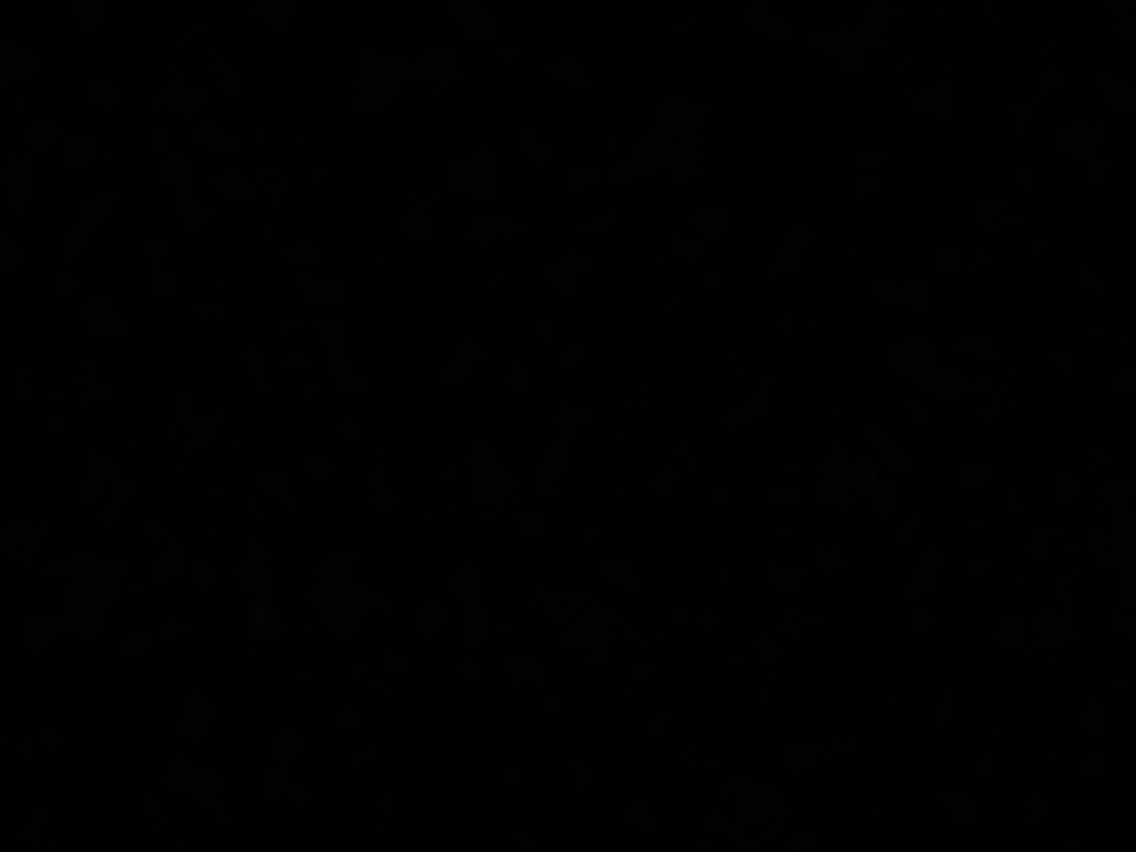 pov sauna on a daily basis Blank Meme Template