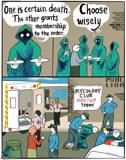 image tagged in comics,pbf,mycology,mushrooms,arrested | made w/ Imgflip meme maker
