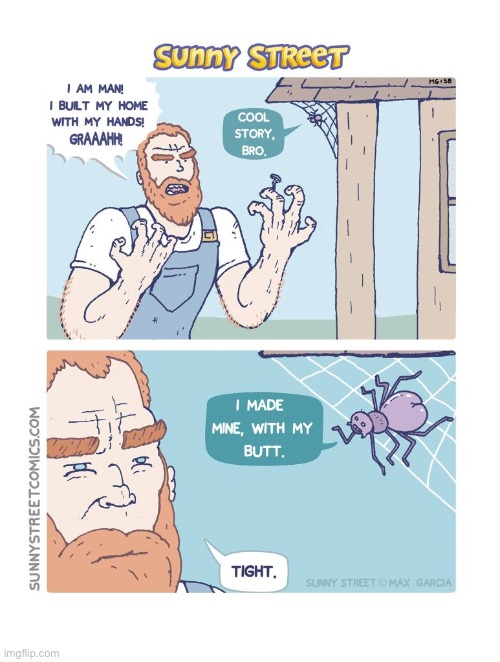 image tagged in comics,sunny street,house,spider,web,butt | made w/ Imgflip meme maker