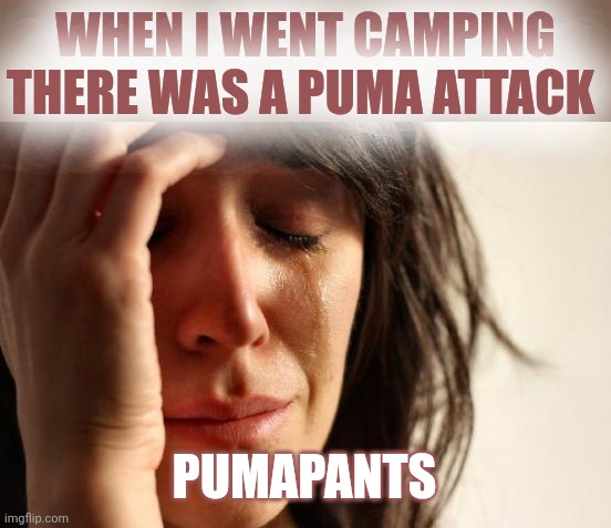 First World Problems | WHEN I WENT CAMPING
THERE WAS A PUMA ATTACK; PUMAPANTS | image tagged in memes,first world problems,puma,attack,pumapants,diarrhea | made w/ Imgflip meme maker