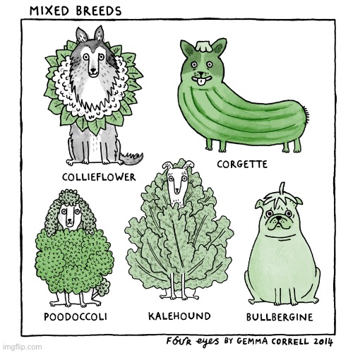 Four Eyes | image tagged in comics,four eyes,dogs,vegetables,mixed breeds | made w/ Imgflip meme maker