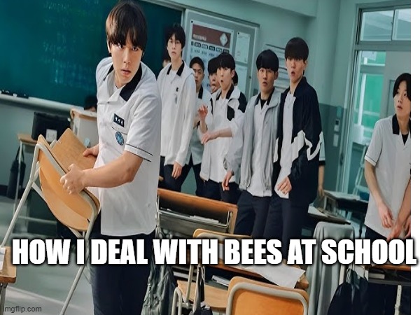 HOW I DEAL WITH BEES AT SCHOOL | image tagged in memes | made w/ Imgflip meme maker