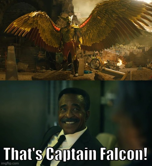 Fleury's bird blindness strikes again | That's Captain Falcon! | image tagged in dc comics,hbo max | made w/ Imgflip meme maker
