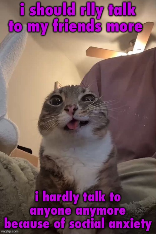 shit nobody cares about: | i should rlly talk to my friends more; i hardly talk to anyone anymore because of soctial anxiety | image tagged in silly | made w/ Imgflip meme maker