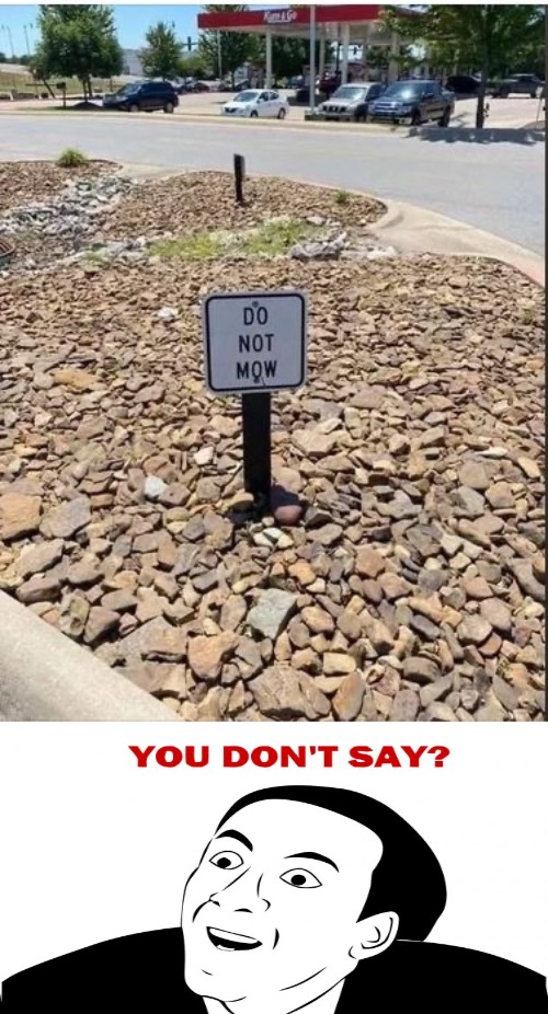 You Don't Say | image tagged in you dont say,obviously,sarcasm,no shit,duhhh dumbass,excuse me what the frick | made w/ Imgflip meme maker