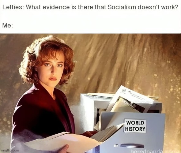 The definition of insanity... | image tagged in socialism always fails | made w/ Imgflip meme maker