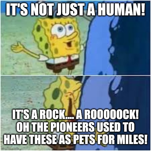 It's not just a bolder it's a rock | IT'S NOT JUST A HUMAN! IT'S A ROCK.... A ROOOOOCK! OH THE PIONEERS USED TO HAVE THESE AS PETS FOR MILES! | image tagged in it's not just a bolder it's a rock | made w/ Imgflip meme maker