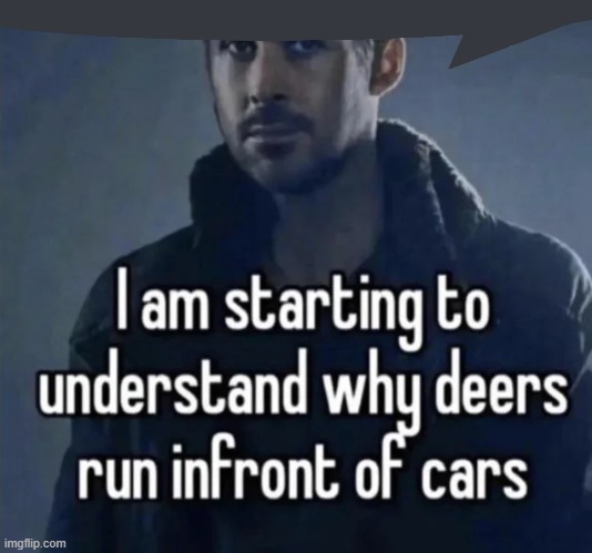 I am starting to understand why deers run in front of cars | image tagged in i am starting to understand why deers run in front of cars | made w/ Imgflip meme maker