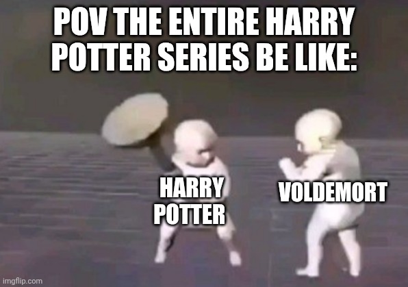 FightING babies | POV THE ENTIRE HARRY POTTER SERIES BE LIKE:; HARRY POTTER; VOLDEMORT | image tagged in fighting babies | made w/ Imgflip meme maker