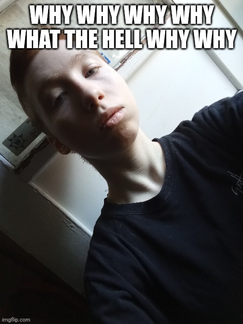 My teplate | WHY WHY WHY WHY WHAT THE HELL WHY WHY | image tagged in my teplate | made w/ Imgflip meme maker