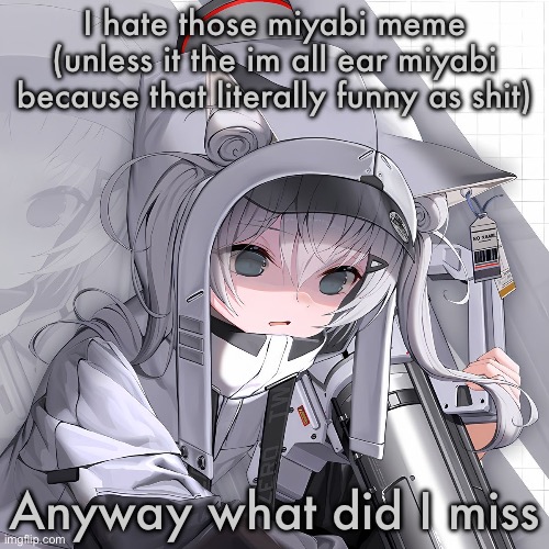 N102 | I hate those miyabi meme (unless it the im all ear miyabi because that literally funny as shit); Anyway what did I miss | image tagged in n102 | made w/ Imgflip meme maker