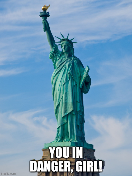 statue of liberty | YOU IN DANGER, GIRL! | image tagged in statue of liberty | made w/ Imgflip meme maker