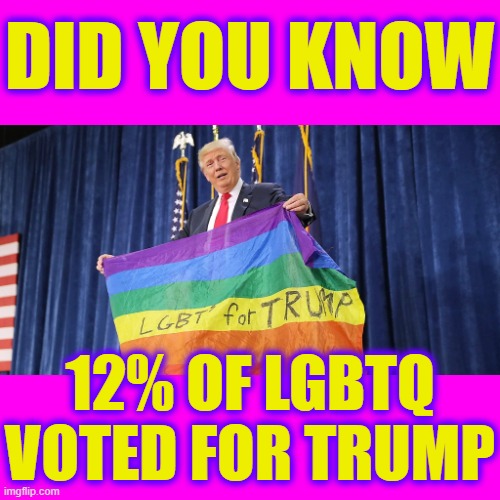 DID YOU KNOW; 12% OF LGBTQ VOTED FOR TRUMP | made w/ Imgflip meme maker
