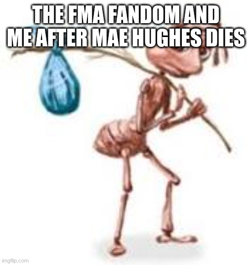Sad ant with bindle | THE FMA FANDOM AND ME AFTER MAE HUGHES DIES | image tagged in sad ant with bindle | made w/ Imgflip meme maker