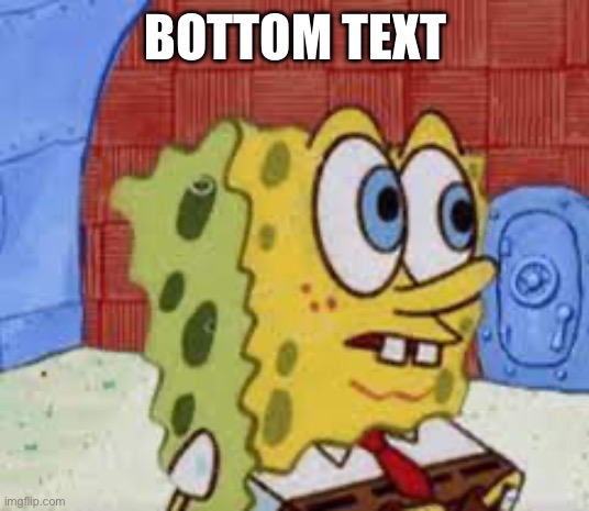 . | BOTTOM TEXT | image tagged in spongebob flabbergasted | made w/ Imgflip meme maker