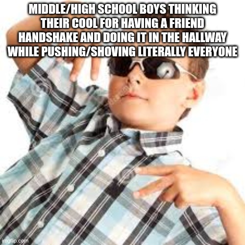 Cool kid sunglasses | MIDDLE/HIGH SCHOOL BOYS THINKING THEIR COOL FOR HAVING A FRIEND HANDSHAKE AND DOING IT IN THE HALLWAY WHILE PUSHING/SHOVING LITERALLY EVERYONE | image tagged in cool kid sunglasses | made w/ Imgflip meme maker