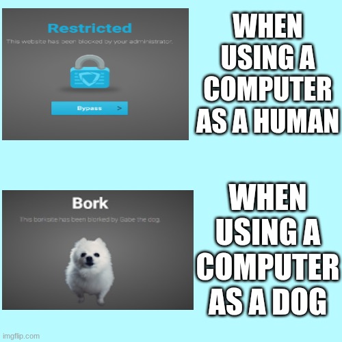 Blank Transparent Square Meme | WHEN USING A COMPUTER AS A HUMAN; WHEN USING A COMPUTER AS A DOG | image tagged in memes,blank transparent square,goguardian | made w/ Imgflip meme maker