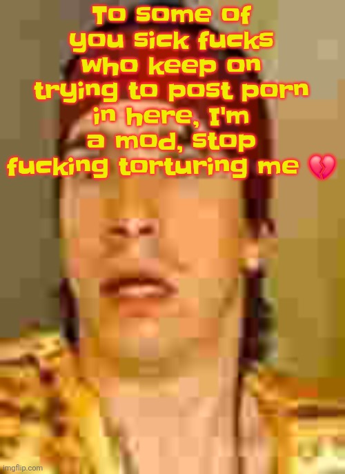 Also with the fact I'm 14 | To some of you sick fucks who keep on trying to post porn in here, I'm a mod, stop fu​cking torturing me 💔 | image tagged in when the | made w/ Imgflip meme maker
