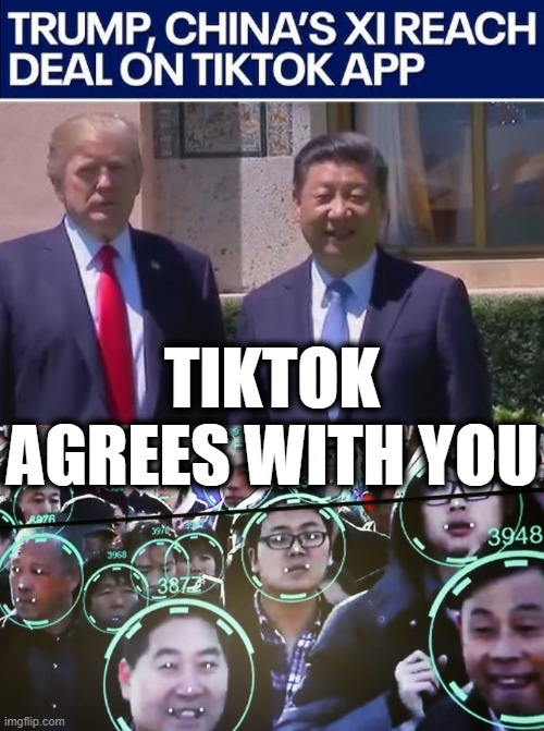 TIKTOK AGREES WITH YOU | made w/ Imgflip meme maker