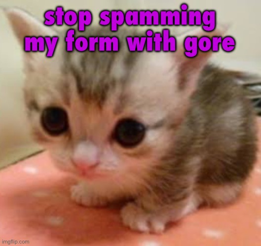 lil guy | stop spamming my form with gore | image tagged in lil guy | made w/ Imgflip meme maker