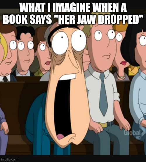 Shiver me timbits! | WHAT I IMAGINE WHEN A BOOK SAYS "HER JAW DROPPED" | image tagged in quagmire jaw drop | made w/ Imgflip meme maker