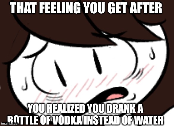 THAT FEELING YOU GET AFTER; YOU REALIZED YOU DRANK A BOTTLE OF VODKA INSTEAD OF WATER | made w/ Imgflip meme maker