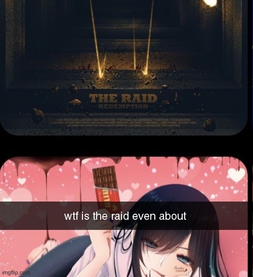 bro is not the raid | image tagged in the raid | made w/ Imgflip meme maker
