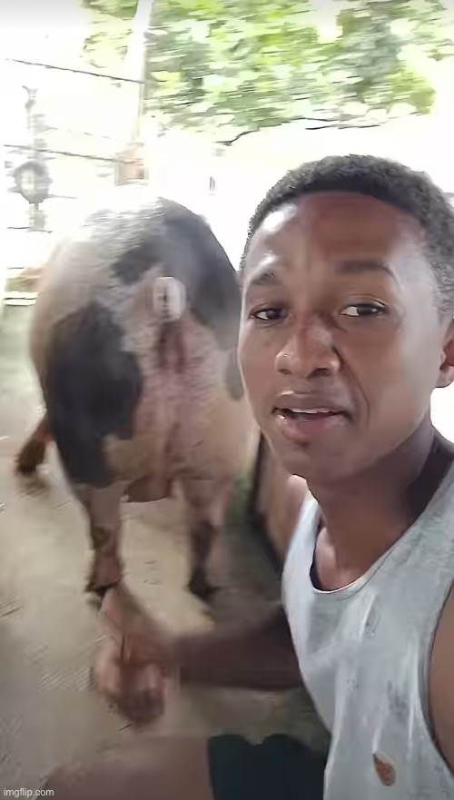 Thehugepig’s Mom found somewhere deep in brazil | image tagged in memes,shitpost,your mom,is so fat | made w/ Imgflip meme maker