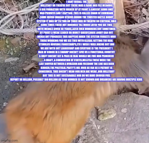 Readers highgest : Demonrats set a trap, Illegals the silent victim in a diabolical political game | I CANT RECALL THE MILLITARY OR THEATRE BUT THERE WAS A RANK AND FILE MEANING A BIG FORMATION WITH HIGHER UP AT FRONT A ANCIENT ARM6 ONLY HAD PRIVATES AND 1 CAPTIAN .THIS IS CALLED CHAIN OF COMMAND ,SOME MICRO MANAGE OTHERS HONOR THE TRUSTED BATTLE BUDDY SYSTEM IT WAS UP TO TWO OR THREE MEN IN THEATRE DO CRITICAL JOBS SOME TIMES THERE NOT HONORED TILL MUCH LATER YOU SEE THIS WITH MEDALS GIVEN 50 YEARS,LATER EVEN HUNDREDS BUT SOMETIMES BY PROXY A WEAK LEADER OR MONEY GREEDY,DARK LOBBY CAN OUT WEIGH ANY PROGRESS THIS HAPPENS WHEN THE SYSTEM FORGETS WHO THERE WORKING FOR WE SEE THIS WITH ILLEGAL GETTING THE REAL STIMULUS HOUSING FOODSTAMPS,ETC I WISH I WAS JOKING BUT IMO WE ARE WITH OUT LEADERSHIP AND EVERYONE IS THE PRESIDENT 1 MAN OF HONOR IN A SWAMP DOESN'T GIVE US A FUNCTIONAL COUNTRY A DRIFT DOESNT GET A PASS IN REAL WORLD WE FIRE NON PRODUCER ., A DRAFT ,A CONVENTION OF STATES,MILLITIA THESE WERE THE LAST BUFFER BETWEEN A INVASION AND FREEDOM THE LINE HAS BEEN BROKEN,THE POLITICAL PARTY'S NUL VOID AS FAR AS A PATRIOT IS CONCERNED. THIS DOESN'T MEAN OUR MEN ARE WEAK ,OUR MILLITARY BUT THIS IS NOT SUSTAINABLE NOR DO WE HAVE ENOUGH FUEL DEPORT 50 MILLION ,POSSIBLY 100 MILLION AS TRUE NUMBER IS NOT KNOWN AND DREAMERS ARE HAVING MULTIPLE KIDS | image tagged in demonrat,buckleup,wereinmiddle,illegalsarevictims | made w/ Imgflip meme maker