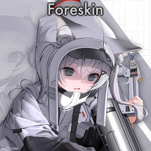 N102 | Foreskin | image tagged in n102 | made w/ Imgflip meme maker
