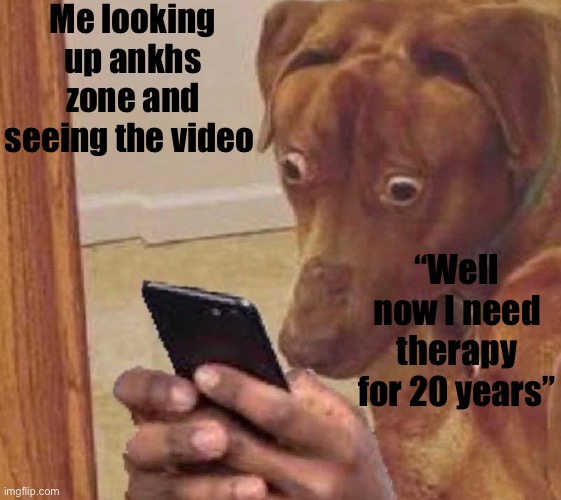 shocked dog | Me looking up ankhs zone and seeing the video; “Well now I need therapy for 20 years” | image tagged in shocked dog | made w/ Imgflip meme maker
