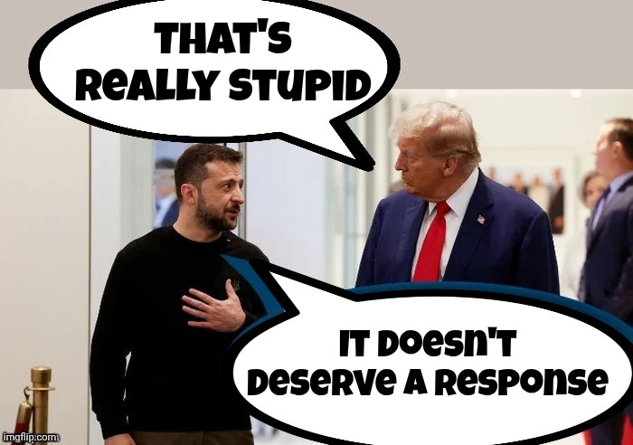 Trump and Zelensky | That's really stupid It doesn't deserve a response | image tagged in trump and zelensky | made w/ Imgflip meme maker