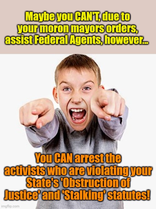 Hey, Sanctuary City LEO's... | Maybe you CAN'T, due to your moron mayors orders, assist Federal Agents, however... You CAN arrest the activists who are violating your State's 'Obstruction of Justice' and 'Stalking' statutes! | made w/ Imgflip meme maker