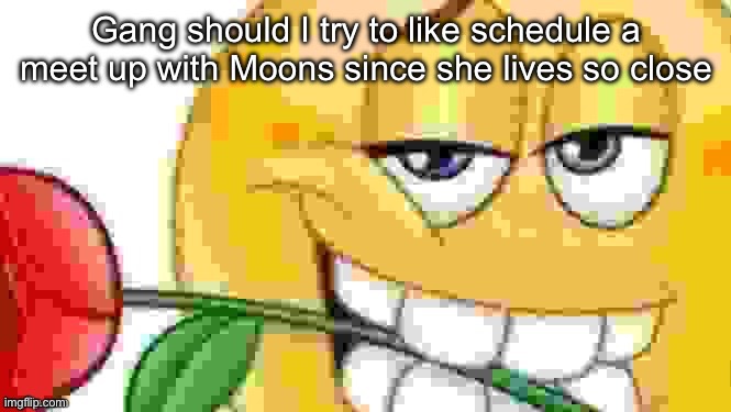 Hmmm maybe three upvotes and I mc her | Gang should I try to like schedule a meet up with Moons since she lives so close | made w/ Imgflip meme maker