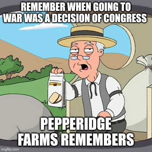 Pepperidge Farm Remembers Meme | REMEMBER WHEN GOING TO WAR WAS A DECISION OF CONGRESS; PEPPERIDGE FARMS REMEMBERS | image tagged in memes,pepperidge farm remembers | made w/ Imgflip meme maker