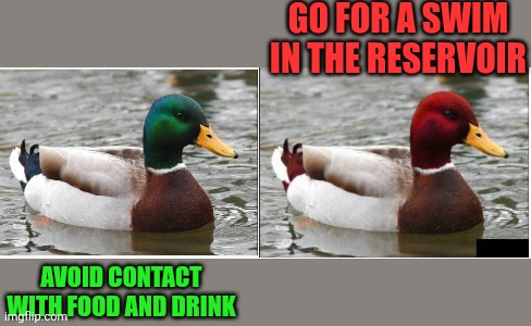 2 advice mallard ducks | GO FOR A SWIM IN THE RESERVOIR AVOID CONTACT WITH FOOD AND DRINK | image tagged in 2 advice mallard ducks | made w/ Imgflip meme maker