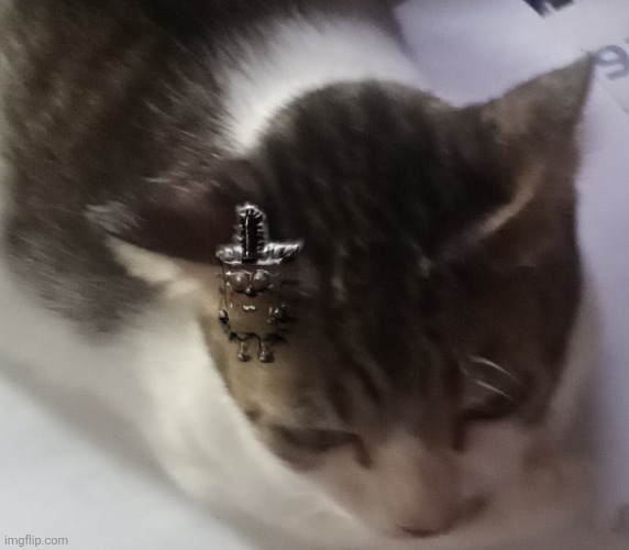 Guess this still continuing | image tagged in ming mong | made w/ Imgflip meme maker