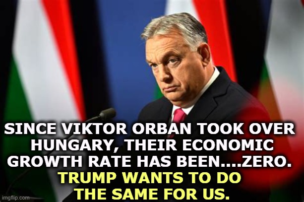 Democracy works better. | SINCE VIKTOR ORBAN TOOK OVER 
HUNGARY, THEIR ECONOMIC GROWTH RATE HAS BEEN....ZERO. TRUMP WANTS TO DO 
THE SAME FOR US. | image tagged in viktor orban,hungary,fascist,dictator,economy,dead | made w/ Imgflip meme maker
