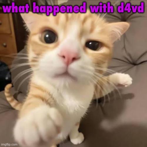 huh??? gwuh??? | what happened with d4vd | image tagged in huh gwuh | made w/ Imgflip meme maker