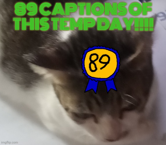 This is my most used temp :333 | 89 CAPTIONS OF THIS TEMP DAY!!!! | image tagged in ming mong | made w/ Imgflip meme maker