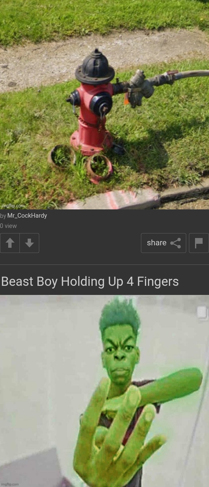 Red black fire hydrant | Mr_CockHardy; Beast Boy Holding Up 4 Fingers | image tagged in two posts | made w/ Imgflip meme maker