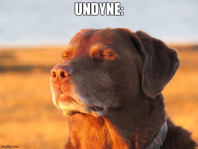 Cooked Dog | UNDYNE: | image tagged in cooked dog | made w/ Imgflip meme maker