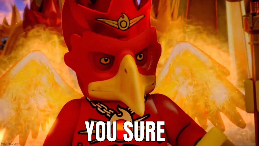 YOU SURE | image tagged in relatable,meme,you sure,fun,funny,bird | made w/ Imgflip meme maker