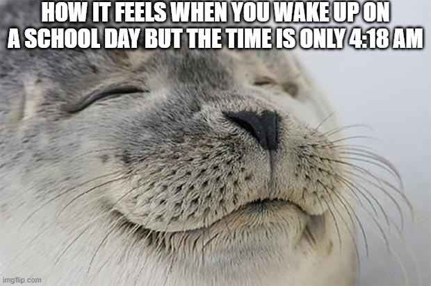 *more sleep happiness groan intensifies* | HOW IT FEELS WHEN YOU WAKE UP ON A SCHOOL DAY BUT THE TIME IS ONLY 4:18 AM | image tagged in memes,satisfied seal,sleep,noice,funny memes,lol so funny | made w/ Imgflip meme maker