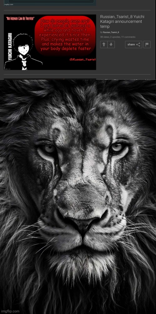 Bro came out the womb straight faced and fully employed | image tagged in a lion doesn t concern himseld | made w/ Imgflip meme maker
