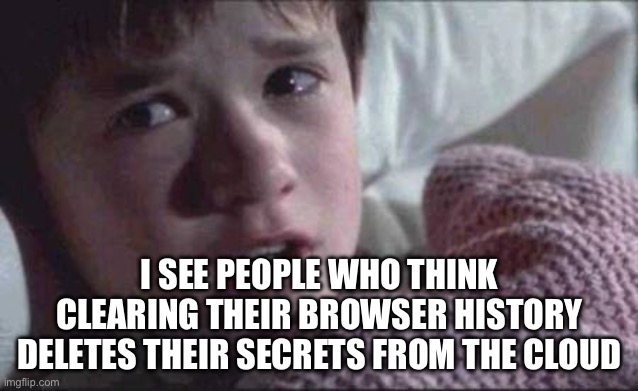 SEE PEOPLE WHO THINK CLEARING THEIR BROWSER HISTORY DELETES THEIR SECRETS FROM THE CLOUD | I SEE PEOPLE WHO THINK CLEARING THEIR BROWSER HISTORY DELETES THEIR SECRETS FROM THE CLOUD | image tagged in memes,i see dead people,cloud,internet,browser history,search history | made w/ Imgflip meme maker