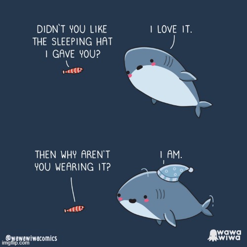 image tagged in fish,shark,sleeping,hat | made w/ Imgflip meme maker