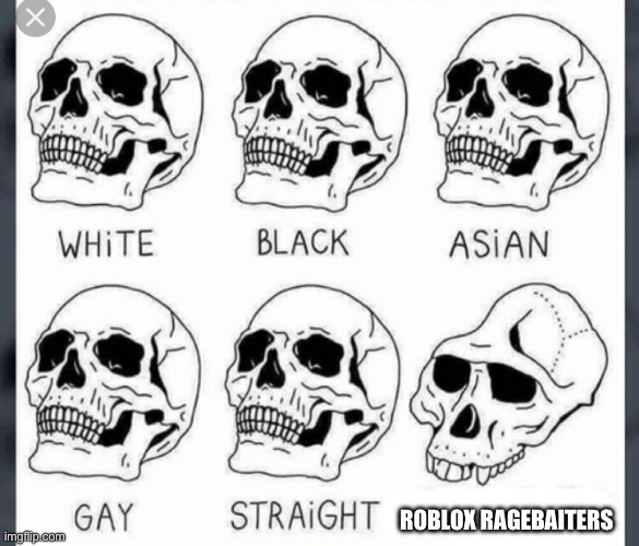 rage | ROBLOX RAGEBAITERS | image tagged in white black asian gay straight skull template | made w/ Imgflip meme maker