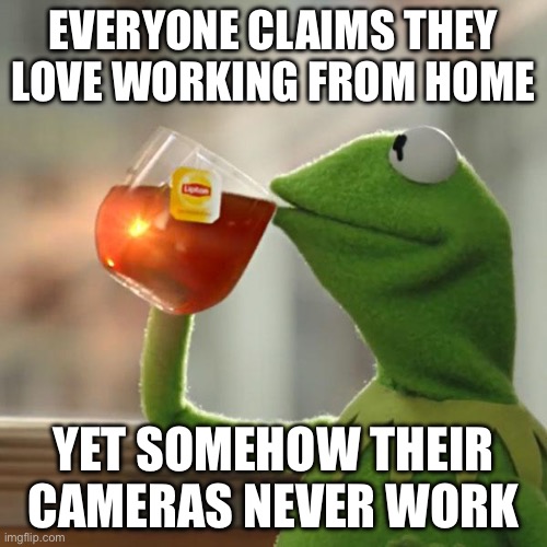 EVERYONE CLAIMS THEY LOVE WORKING FROM HOME; YET SOMEHOW THEIR CAMERAS NEVER WORK | EVERYONE CLAIMS THEY LOVE WORKING FROM HOME; YET SOMEHOW THEIR CAMERAS NEVER WORK | image tagged in memes,but that's none of my business,kermit the frog,working from home,cameras,working | made w/ Imgflip meme maker