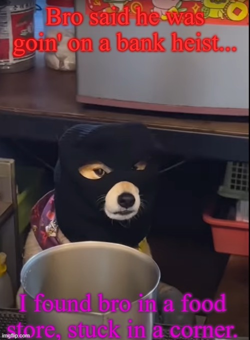 For no reason at all? | Bro said he was goin' on a bank heist... I found bro in a food store, stuck in a corner. | image tagged in thief dodge | made w/ Imgflip meme maker